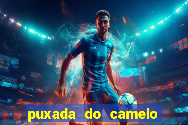 puxada do camelo no jogo do bicho